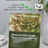 ماسک ورقه ای